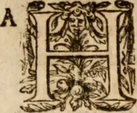 An illustration from De potestate legis mvnicipalis in advenas, et indigenas, tractatus gemina disqvisitione bipertitvs; ex pontificvm sanctionibvs, consiliorum scitis, & theologorum, ac iuris vtriusque consultorum doctrinis accuratè discussus: in quo praetereà complures conscientiae nodi distinctè, solidèque expediuntur (1641)