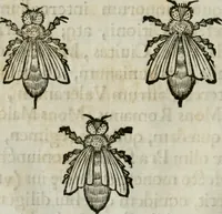 An illustration from De praefecto vrbis liber (1631)