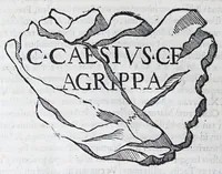 Picture 25 of 53 from De prisca Caesiorvm gente Io. Baptistae Fonteii primionis commentariorvm libri dvo : cvm Ivlii Iacobonii appendice (1582), leaf 184