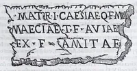 An illustration from De prisca Caesiorvm gente Io. Baptistae Fonteii primionis commentariorvm libri dvo : cvm Ivlii Iacobonii appendice (1582)