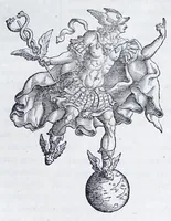 Picture 35 of 53 from De prisca Caesiorvm gente Io. Baptistae Fonteii primionis commentariorvm libri dvo : cvm Ivlii Iacobonii appendice (1582), leaf 261