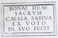 An illustration from De prisca Caesiorvm gente Io. Baptistae Fonteii primionis commentariorvm libri dvo : cvm Ivlii Iacobonii appendice (1582)