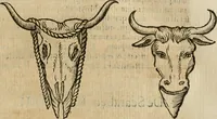 An illustration from De profanis, et sacris veteribvs ritibvs (1665)