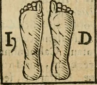 An illustration from De profanis, et sacris veteribvs ritibvs (1665)