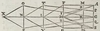 An illustration from De radiis visvs et lvcis in vitris perspectivis et iride tractatus (1611)