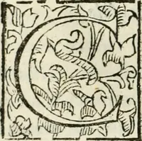 Picture 34 of 116 from De' ragguagli di Parnaso .. (1612), leaf 145