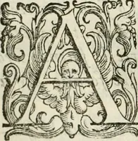 Picture 7 of 116 from De' ragguagli di Parnaso .. (1612), leaf 31