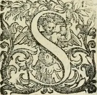 Picture 71 of 116 from De' ragguagli di Parnaso .. (1612), leaf 312