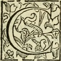 Picture 91 of 116 from De' ragguagli di Parnaso .. (1612), leaf 406