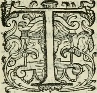 An illustration from De' ragguagli di Parnaso .. (1612)