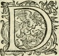 Picture 111 of 116 from De' ragguagli di Parnaso .. (1612), leaf 486