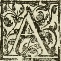 Picture 116 of 116 from De' ragguagli di Parnaso .. (1612), leaf 504