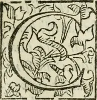 Picture 19 of 116 from De' ragguagli di Parnaso .. (1612), leaf 78