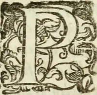 An illustration from De' ragguagli di Parnaso .. (1612)