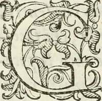 Picture 145 of 271 from De' ragguagli di Parnaso .. (1612), leaf 735