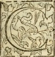 An illustration from De' ragguagli di Parnaso .. (1612)