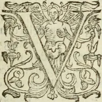 Picture 3 of 271 from De' ragguagli di Parnaso .. (1612), leaf 8