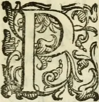Picture 171 of 271 from De' ragguagli di Parnaso .. (1612), leaf 842