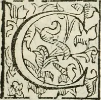 An illustration from De' ragguagli di Parnaso .. (1612)