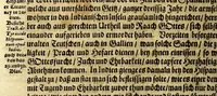 An illustration from Der americanischen Neuen Welt Beschreibung, : darinnen deren Erfindung, Lager, Natur, Eigenschaft, Sitten, Barbarey, und unerhörte Grausamkeit der Einwohner, Thier, Vögel, Fischen und anderer; beneben einer wunderbaren Schifffart und Reisebeschreibung nach Brasilien Hans von Staden, bürtig aus Homburg in Hessen; was er vor selzame wunderbare Länder und wilde Leute gesehen; was er innerhalb acht Jahren ausgestanden, und wie der högste Gott ihn aus so vielfaltiger groser Gefahr errettet habe &c. Mit vielen nachdenklichen Fragen und nothwendigen Figuren ausgezieret und zusammen getragen (1664)