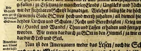An illustration from Der americanischen Neuen Welt Beschreibung, : darinnen deren Erfindung, Lager, Natur, Eigenschaft, Sitten, Barbarey, und unerhörte Grausamkeit der Einwohner, Thier, Vögel, Fischen und anderer; beneben einer wunderbaren Schifffart und Reisebeschreibung nach Brasilien Hans von Staden, bürtig aus Homburg in Hessen; was er vor selzame wunderbare Länder und wilde Leute gesehen; was er innerhalb acht Jahren ausgestanden, und wie der högste Gott ihn aus so vielfaltiger groser Gefahr errettet habe &c. Mit vielen nachdenklichen Fragen und nothwendigen Figuren ausgezieret und zusammen getragen (1664)