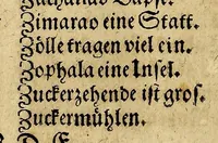 An illustration from Der americanischen Neuen Welt Beschreibung, : darinnen deren Erfindung, Lager, Natur, Eigenschaft, Sitten, Barbarey, und unerhörte Grausamkeit der Einwohner, Thier, Vögel, Fischen und anderer; beneben einer wunderbaren Schifffart und Reisebeschreibung nach Brasilien Hans von Staden, bürtig aus Homburg in Hessen; was er vor selzame wunderbare Länder und wilde Leute gesehen; was er innerhalb acht Jahren ausgestanden, und wie der högste Gott ihn aus so vielfaltiger groser Gefahr errettet habe &c. Mit vielen nachdenklichen Fragen und nothwendigen Figuren ausgezieret und zusammen getragen (1664)