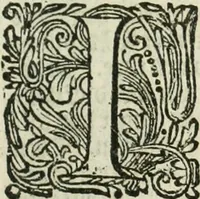 An illustration from De rampspoedige scheepvaart der Franschen naar Oostindien, onder 't beleit van de Heer Generaal Augustyn van Beaulieu, met drie schepen, uit Normandyen. Daar in hy vertoont, niet alleenlijk de rampen en tegenspoeden die hem in deze reis overgekomen zijn, en 't verlies van twee zijner schepen, in deze tocht verloren: maar ook veel aanmerkelijke beschrijvingen der plaatsen, daar hy geweest heeft, zijn handelingen met d'inwoonders, hun wetten, zeden en gewoonten (1669)