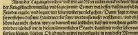 An illustration from Der ander Theil, der newlich erfundenen Landtschafft Americae, von dreyen Schiffahrten, so die Frantzosen in Floridam (die gegen Nidergang gelegen) gethan. : Eine vnter dem Hauptman[n] H. Laudonniere, Anno 1564. Die ander vnter H. Ribald 1565. Die dritte, vnter H. Guerguesio 1567. geschehen. Mit Beschreibung vnd lebendiger Contrafactur, dieser Provintze, Gestalt, Sitten vnd Gebräuch der Wilden, (1603)