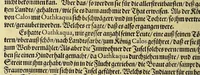 An illustration from Der ander Theyl, der newlich erfundenen Landtschafft Americae, von dreyen Schiffahrten, so die Frantzosen in Floridam (die gegen Nidergang gelegen) gethan. : Eine vnter dem Häuptmann H. Laudonniere, Anno 1564. Die ander vnter H. Ribald 1565. Die dritte, vnter H. Guorguesio 1567. geschehen. Mit Beschreibung vnd lebendiger Contrafactur, dieser Provintze, Gestalt, Sitten vnd Gebräuch der Wilden, (1591)