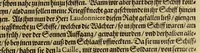 An illustration from Der ander Theyl, der newlich erfundenen Landtschafft Americae, von dreyen Schiffahrten, so die Frantzosen in Floridam (die gegen Nidergang gelegen) gethan. : Eine vnter dem Häuptmann H. Laudonniere, Anno 1564. Die ander vnter H. Ribald 1565. Die dritte, vnter H. Guorguesio 1567. geschehen. Mit Beschreibung vnd lebendiger Contrafactur, dieser Provintze, Gestalt, Sitten vnd Gebräuch der Wilden, (1591)