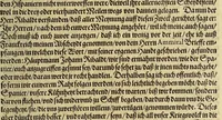 An illustration from Der ander Theyl, der newlich erfundenen Landtschafft Americae, von dreyen Schiffahrten, so die Frantzosen in Floridam (die gegen Nidergang gelegen) gethan. : Eine vnter dem Häuptmann H. Laudonniere, Anno 1564. Die ander vnter H. Ribald 1565. Die dritte, vnter H. Guorguesio 1567. geschehen. Mit Beschreibung vnd lebendiger Contrafactur, dieser Provintze, Gestalt, Sitten vnd Gebräuch der Wilden, (1591)