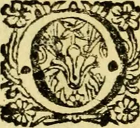 An illustration from De ranis et lacertis observationes (1686)