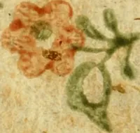 An illustration from De ranis et lacertis observationes (1686)