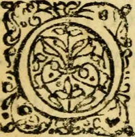 An illustration from De ranis et lacertis observationes (1686)
