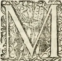 An illustration from De ratiociniis administratorum, et computationibus variis aliis, tractatus praegnantissimus. Omnibvs jvri operam dantibus ... utilis, judicibus et advocatis pernecessarius (1646)