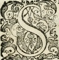 An illustration from De ratiociniis administratorum, et computationibus variis aliis, tractatus praegnantissimus. Omnibvs jvri operam dantibus ... utilis, judicibus et advocatis pernecessarius (1646)