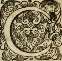 An illustration from De ratiociniis administratorum, et computationibus variis aliis, tractatus praegnantissimus. Omnibvs jvri operam dantibus ... utilis, judicibus et advocatis pernecessarius (1646)
