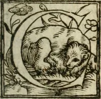 An illustration from De ratiociniis administratorum, et computationibus variis aliis, tractatus praegnantissimus. Omnibvs jvri operam dantibus ... utilis, judicibus et advocatis pernecessarius (1646)