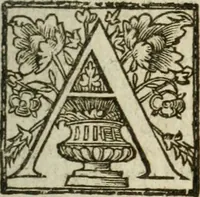 An illustration from De ratiociniis administratorum, et computationibus variis aliis, tractatus praegnantissimus. Omnibvs jvri operam dantibus ... utilis, judicibus et advocatis pernecessarius (1646)