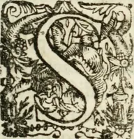 An illustration from De ratiociniis administratorum, et computationibus variis aliis, tractatus praegnantissimus. Omnibvs jvri operam dantibus ... utilis, judicibus et advocatis pernecessarius (1646)