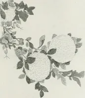 Picture 23 of 35 from Der chinesische farbendruck (1922), leaf 102