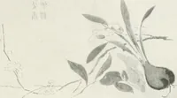 An illustration from Der chinesische farbendruck (1922)