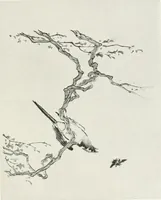 Picture 29 of 35 from Der chinesische farbendruck (1922), leaf 124