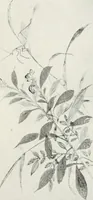 An illustration from Der chinesische farbendruck (1922)