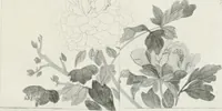 An illustration from Der chinesische farbendruck (1922)
