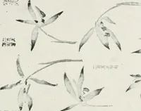 An illustration from Der chinesische farbendruck (1922)