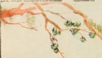 Picture 9 of 35 from Der chinesische farbendruck (1922), leaf 56