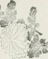 An illustration from Der chinesische farbendruck (1922)