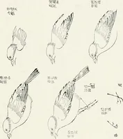 An illustration from Der chinesische farbendruck (1922)