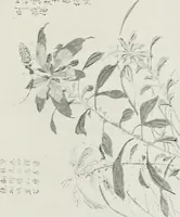 An illustration from Der chinesische farbendruck (1922)